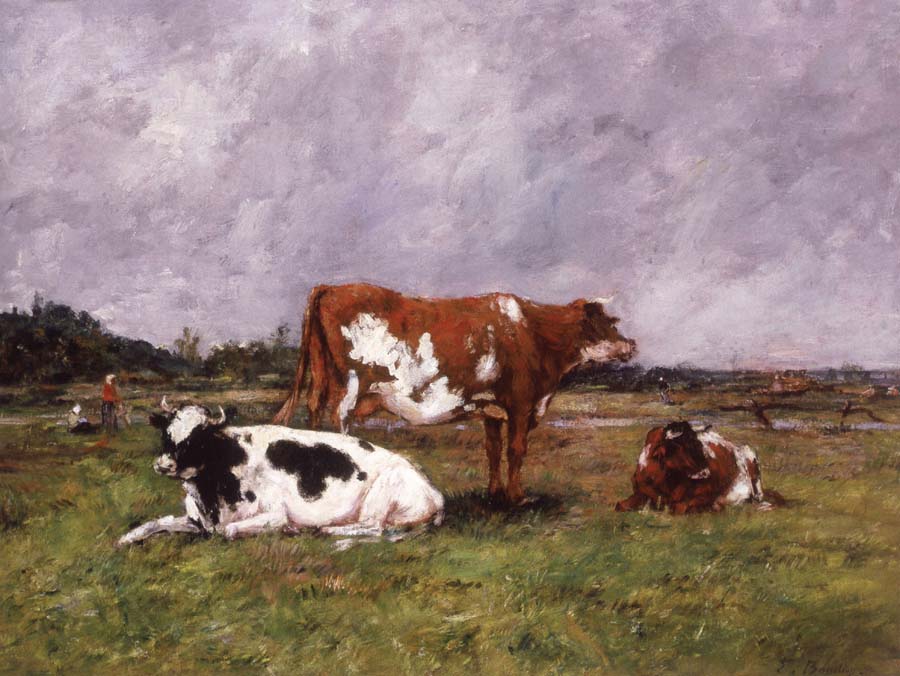 Cows in a Pasture